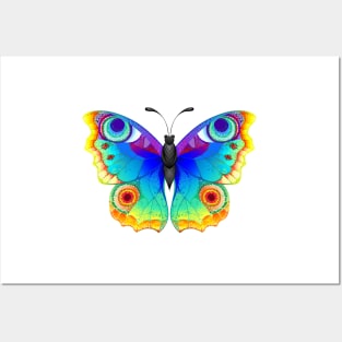 Rainbow Butterfly Peacock Eye Posters and Art